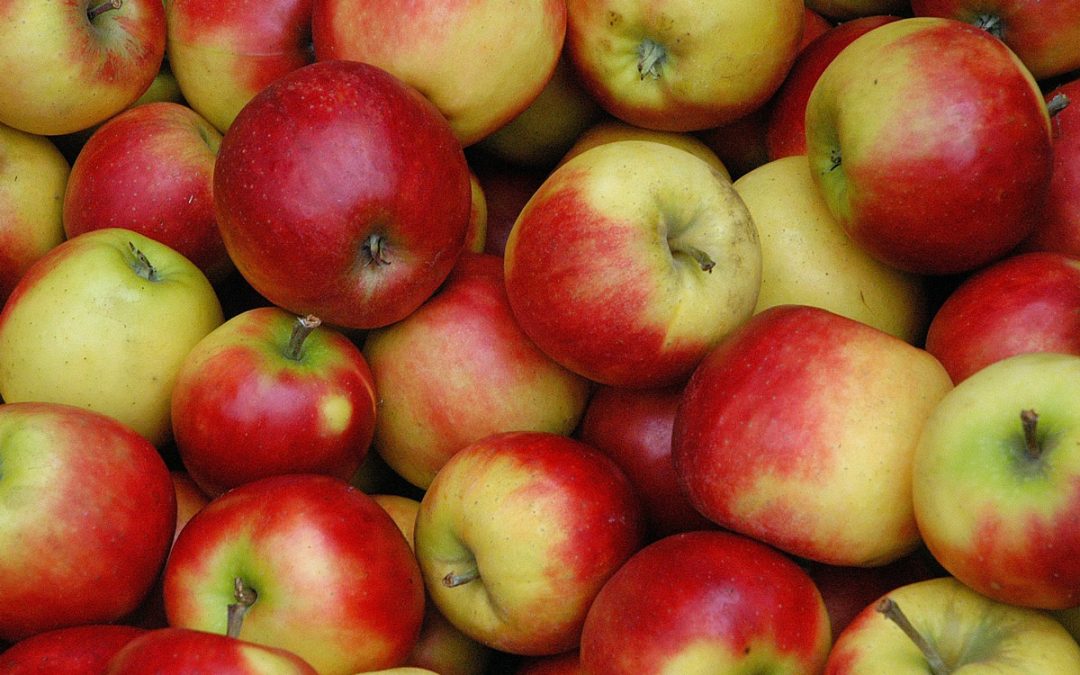 Tasty Tuesday: Gluten Free Apple Crisp (Paleo and Vegan Option)